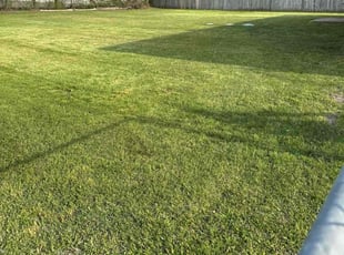 Loretta B.'s Lawn Care service result
