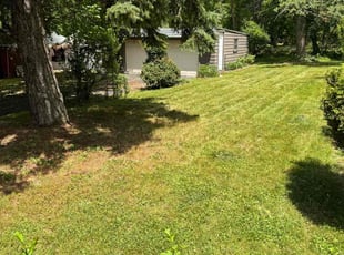 Terra C.'s Lawn Mowing service result