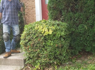 Bush Trimming by Kevin Murphy for Krista E. in Germantown, MD