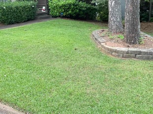 Ti C.'s Lawn Care service result
