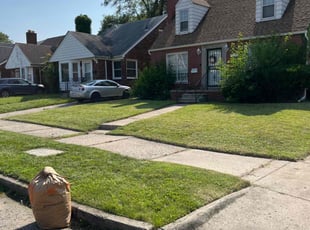 Mary F.'s Lawn Mowing service result