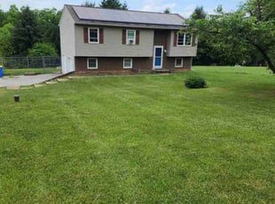 Diane J.'s Lawn Mowing Service service result