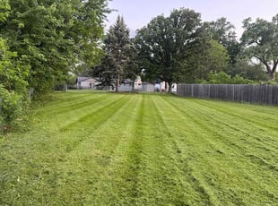 Sue J.'s Lawn Mowing service result