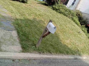 Craig T.'s Lawn Care service result