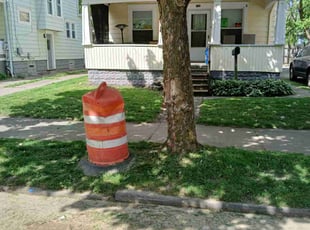 Claudia Z.'s Yard Cutting service result
