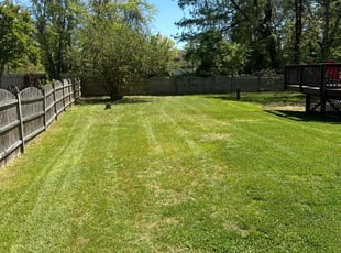 Jim T.'s Lawn Mowing service result