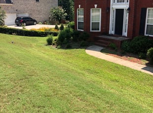 Bush Trimming by Duanne Browne for Debraca R. in Conyers, GA