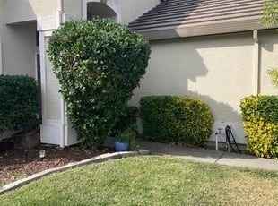 Bush Trimming by Ramon Mojica for Debbie M. in Elk Grove, CA