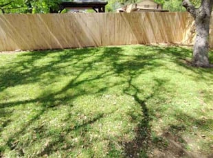 Yvette A.'s Lawn Service service result