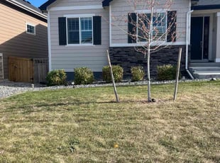 Bush Trimming by Jesse Nunez for Traci D. in Castle Rock, CO