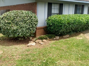 Bush Trimming by Paul Robinson Jr for Duplicate - Nickolas D. in Jackson, MS