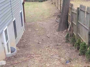 Leaf Removal by Jose Gonzalez for Sidney D. in Silver Spring, MD