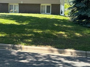 Wilma T.'s Lawn Mowing Service service result