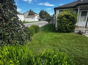 Sandy S.'s Lawn Care service result