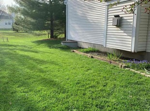 Mandy H.'s Lawn Service service result