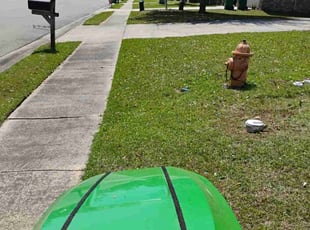 Judy C.'s Lawn Mowing Service service result