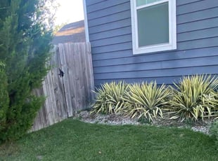 Harris W.'s Lawn Service service result