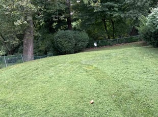Janet H.'s Grass Cutting service result