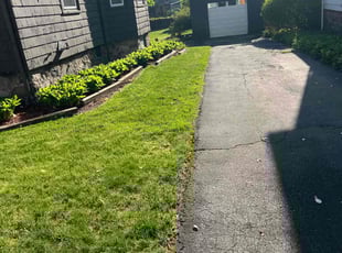 Leaf Removal by Matthew Clouse for Nancy S. in Saugus, MA