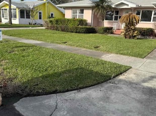 Camile I.'s Lawn Care service result
