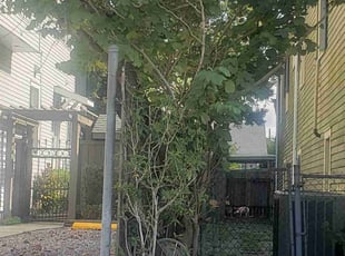Bush Trimming by DeVon Butler for Susan M. in New Orleans, LA