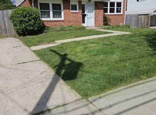 Bintou Z.'s Lawn Service service result