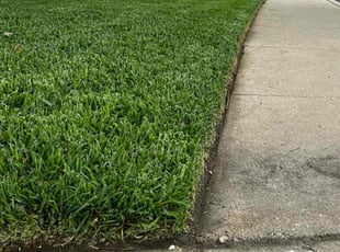 Antwoine V.'s Lawn Service service result