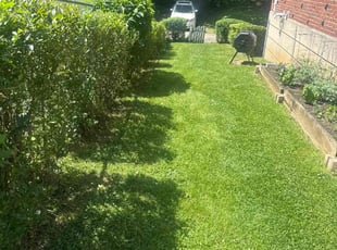 Pauli D L.'s Yard Cutting service result