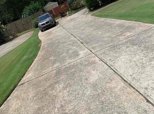 Donna S.'s Yard Cutting service result