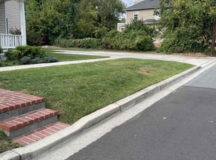 Beth W.'s Yard Cutting service result
