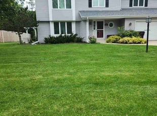 Ken s.'s Grass Cutting service result