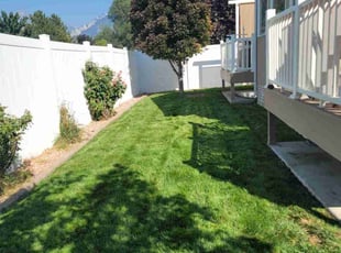 Sharon H.'s Lawn Care service result