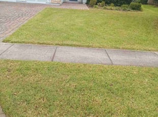Daniel W.'s Yard Cutting service result