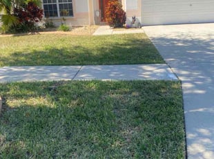 Carisa S.'s Lawn Mowing Service service result
