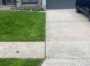Nick F.'s Lawn Mowing service result