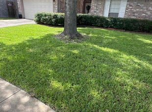 Rachel L.'s Lawn Mowing Service service result