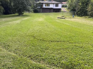 Guillermo M.'s Lawn Mowing Service service result