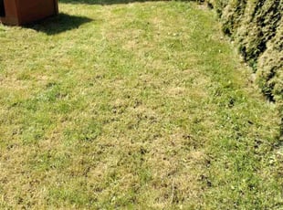 Cleanups by James Jarboe for Taylor L. in Bellingham, WA