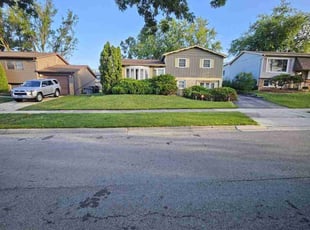 Kevin h.'s Grass Cutting service result