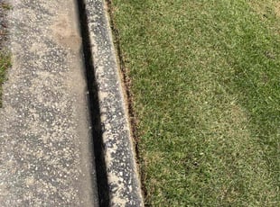 Jacqueline G.'s Lawn Mowing service result