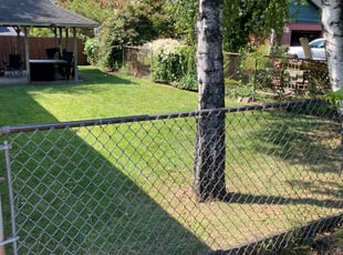 CJ J.'s Lawn Mowing service result