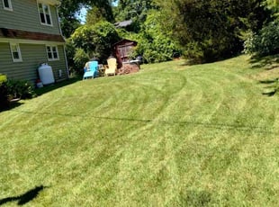 Shoshanna H.'s Lawn Service service result