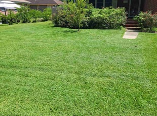 Geoff G.'s Lawn Care service result