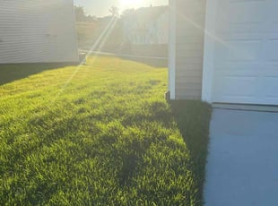 Ken J.'s Lawn Maintenance service result