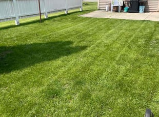 Bush Trimming by Jose Sandoval for Pamela p. in Franklin, WI