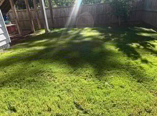 Kevin C.'s Lawn Mowing Service service result