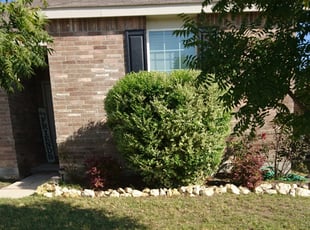 Bush Trimming by Kale McClarty for Angela H. in Fort Worth, TX