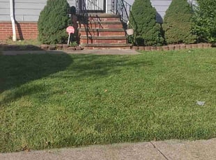 Bush Trimming by Douglas Gray for Kim R. in Cleveland, OH