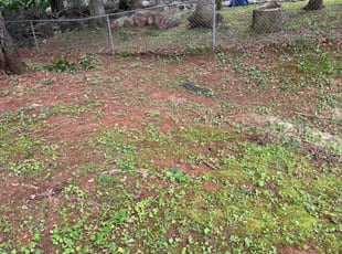 Cleanups by Armando J for Jim M. in Duluth, GA