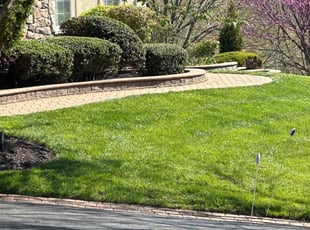Tim S.'s Lawn Mowing service result